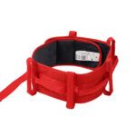 Alpha Support Belt